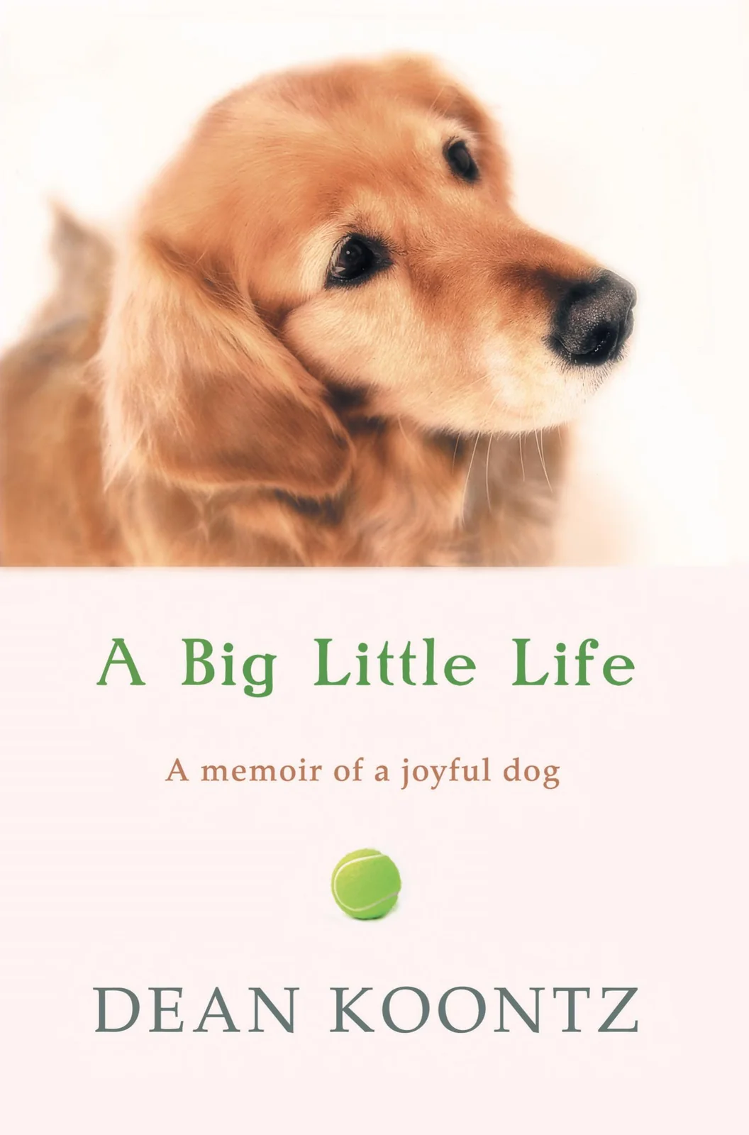 A Big Little Life — photo 2