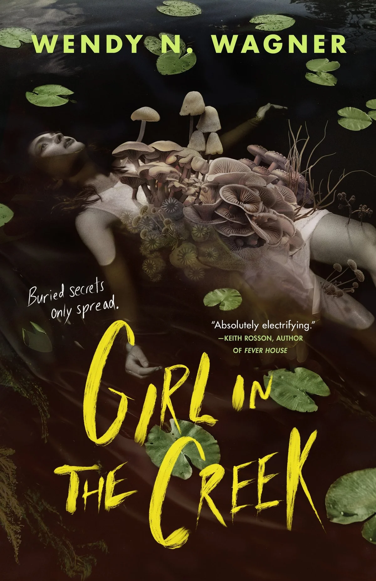Girl in the Creek — photo 2