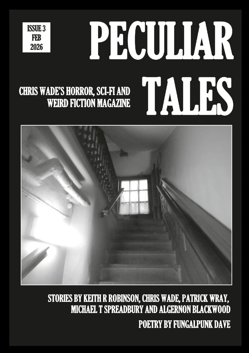 Peculiar Tales: Issue 3 — photo 2