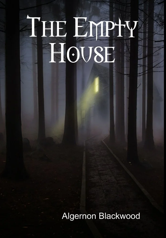 The Empty House — photo 2