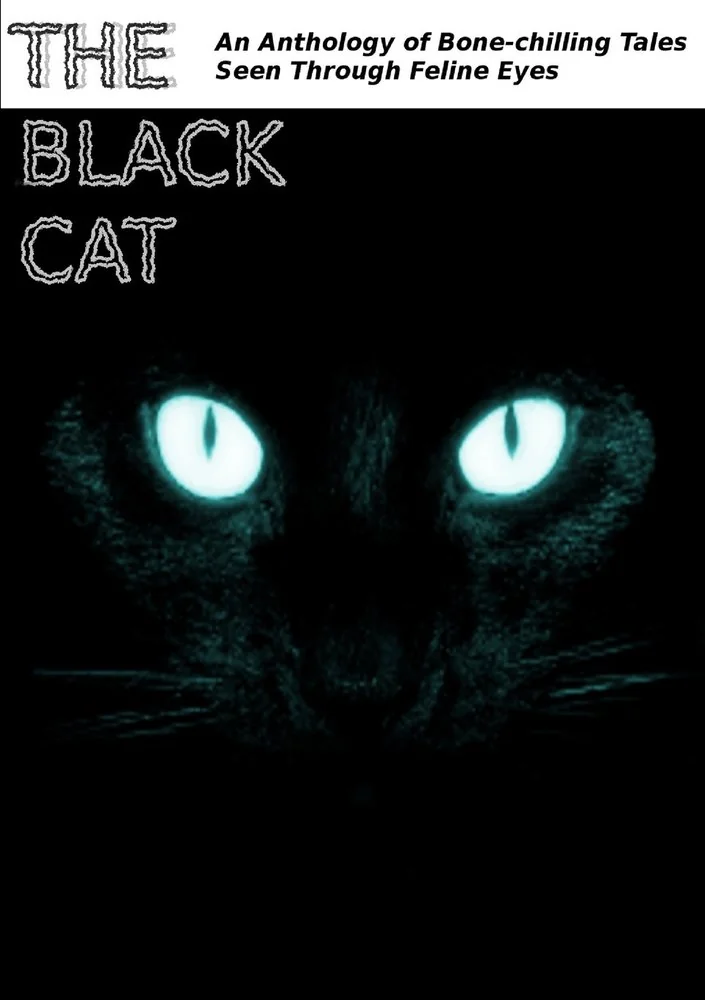 The Black Cat — photo 2