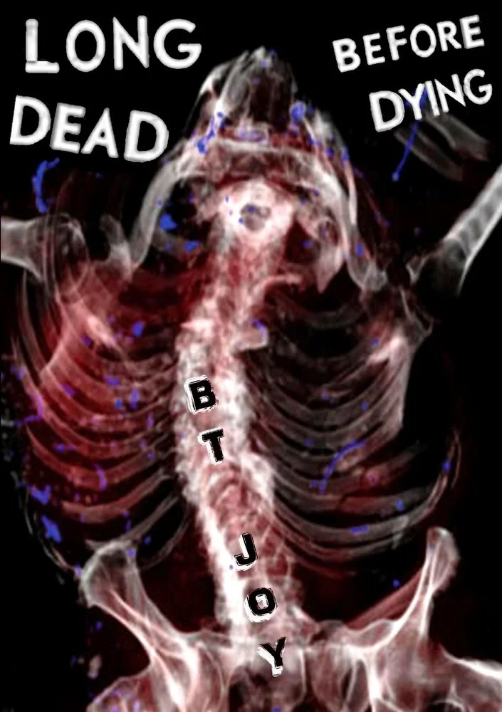 Long Dead Before Dying — photo 2