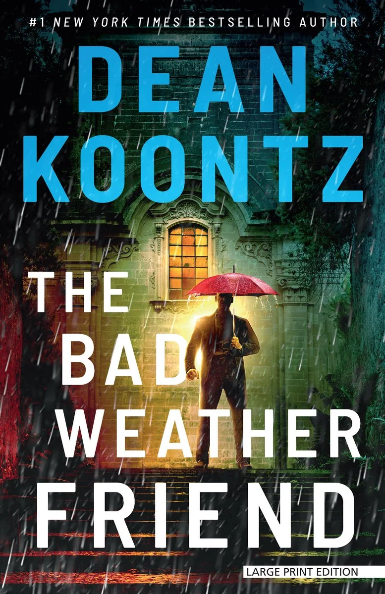 The Bad Weather Friend — photo 2