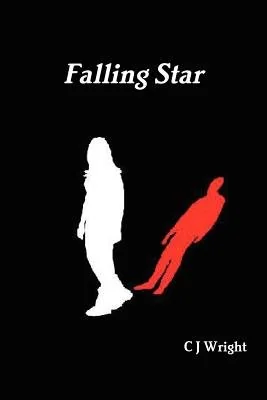 Falling Star — photo 2