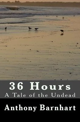 36 Hours: the 2nd Edition — photo 2