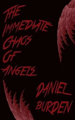 The Immediate Chaos of Angels — photo 2