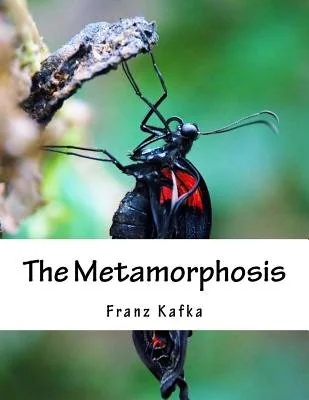 The Metamorphosis — photo 2