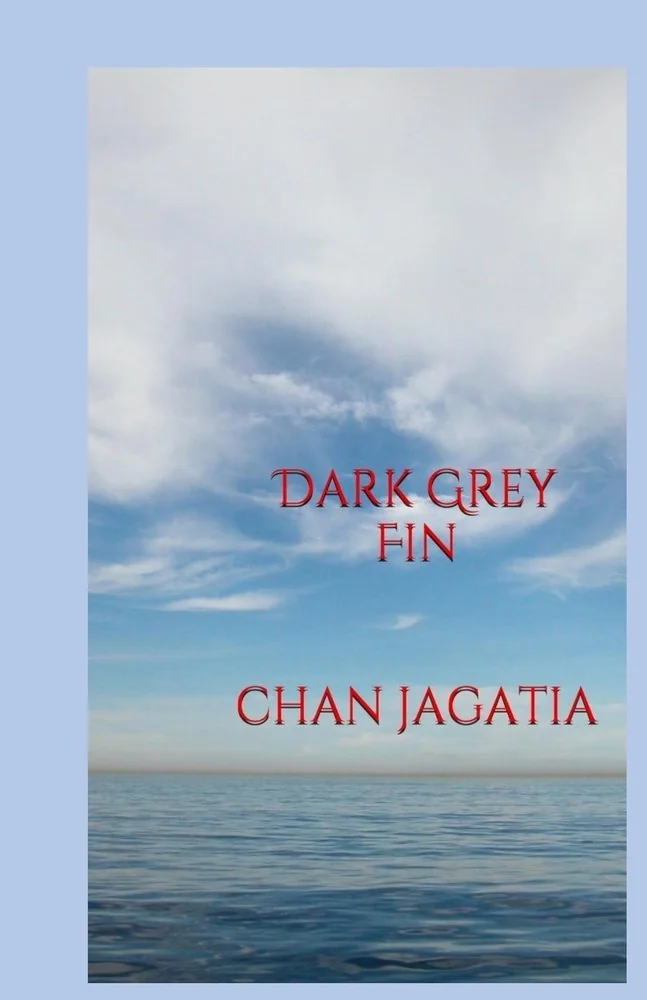 Dark Grey Fin — photo 2