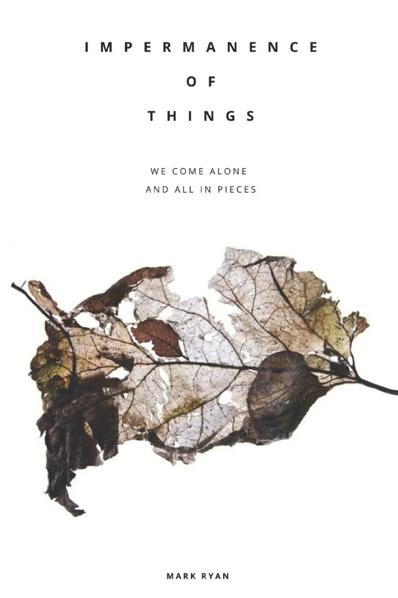 Impermanence of things: A Collection of short stories — photo 2