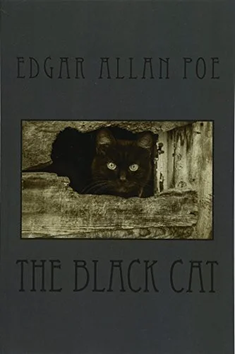 The Black Cat — photo 2