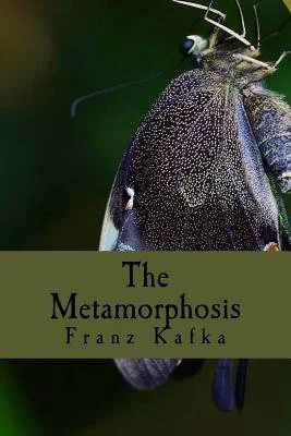 The Metamorphosis — photo 2