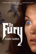 The Fury: A Novel Volume 28