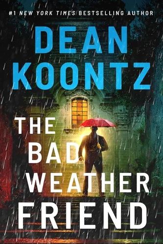 The Bad Weather Friend — photo 2