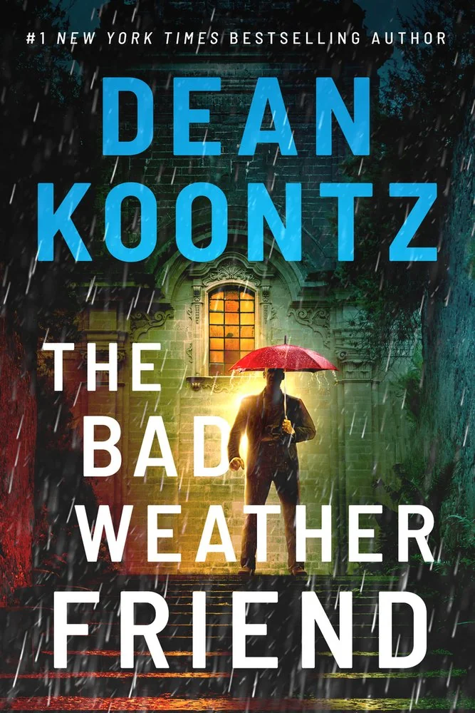 The Bad Weather Friend — photo 2