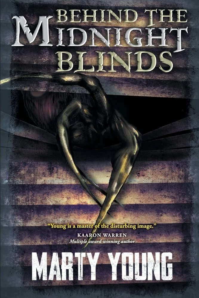 Behind the Midnight Blinds — photo 2