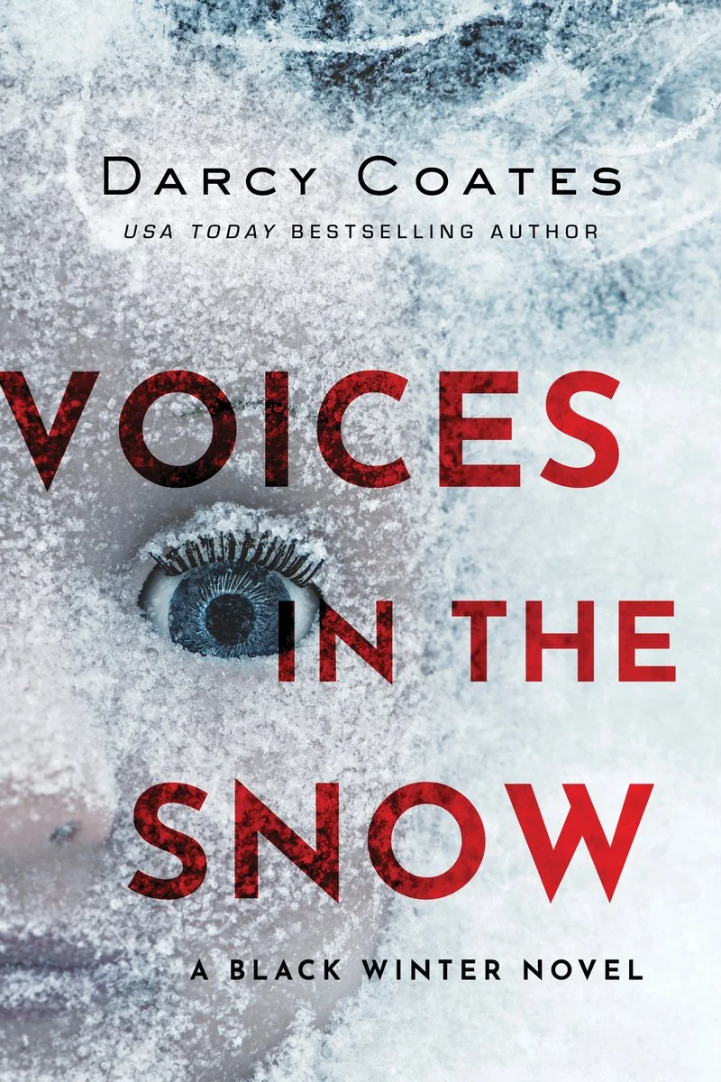 Voices in the Snow — photo 2