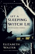 Let a Sleeping Witch Lie: Welsh Gothic Stories