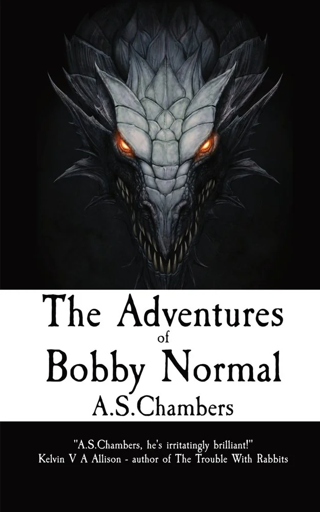 The Adventures of Bobby Normal — photo 2