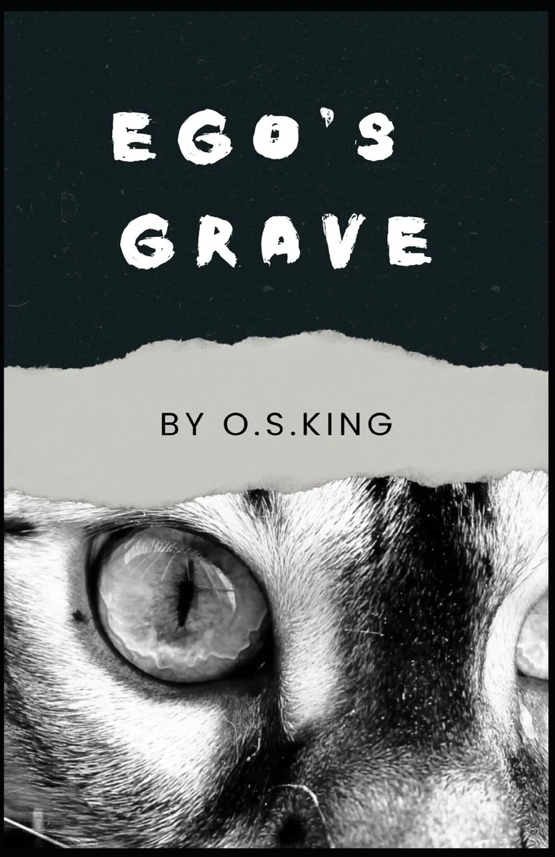 Ego's Grave: A collection of unsettling tales — photo 3