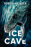 Ice Cave