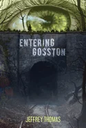 Entering Gosston