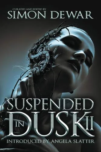 Suspended in Dusk II — photo 2