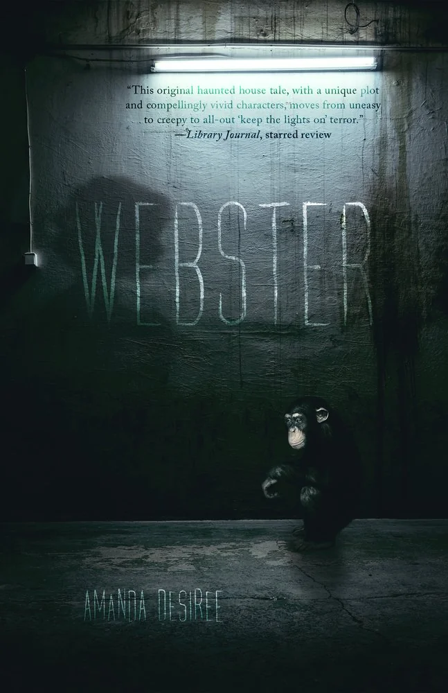Webster — photo 2