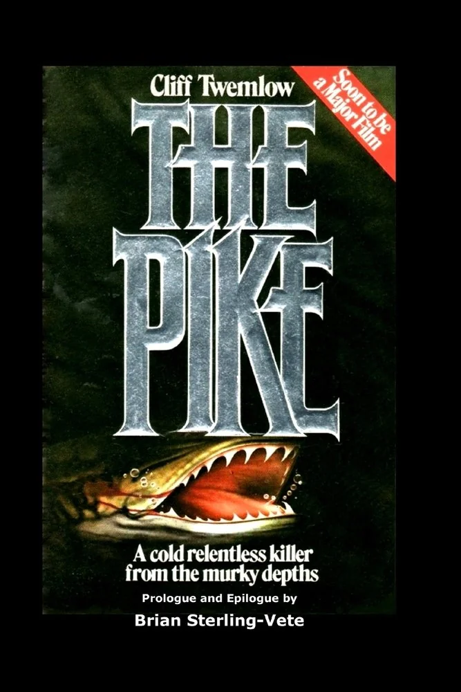 The Pike — photo 2