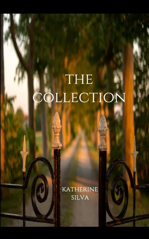 The Collection: A Novella