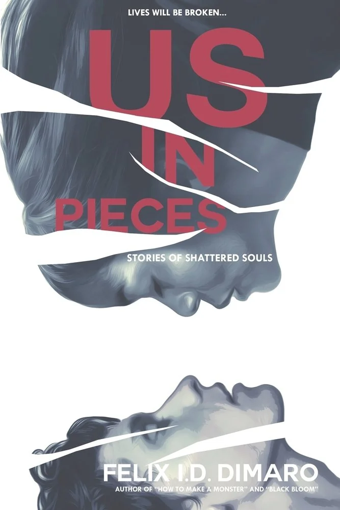 Us in Pieces: Stories of Shattered Souls — photo 2