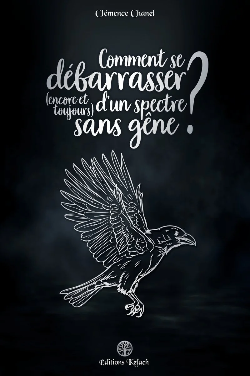Comment se debarrasser (encore et toujours) d'un spectre sans gene ? — photo 2