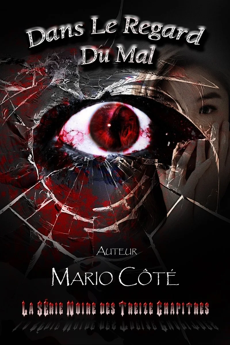 La serie noire des treize chapitres: Dans le regard du mal — photo 2
