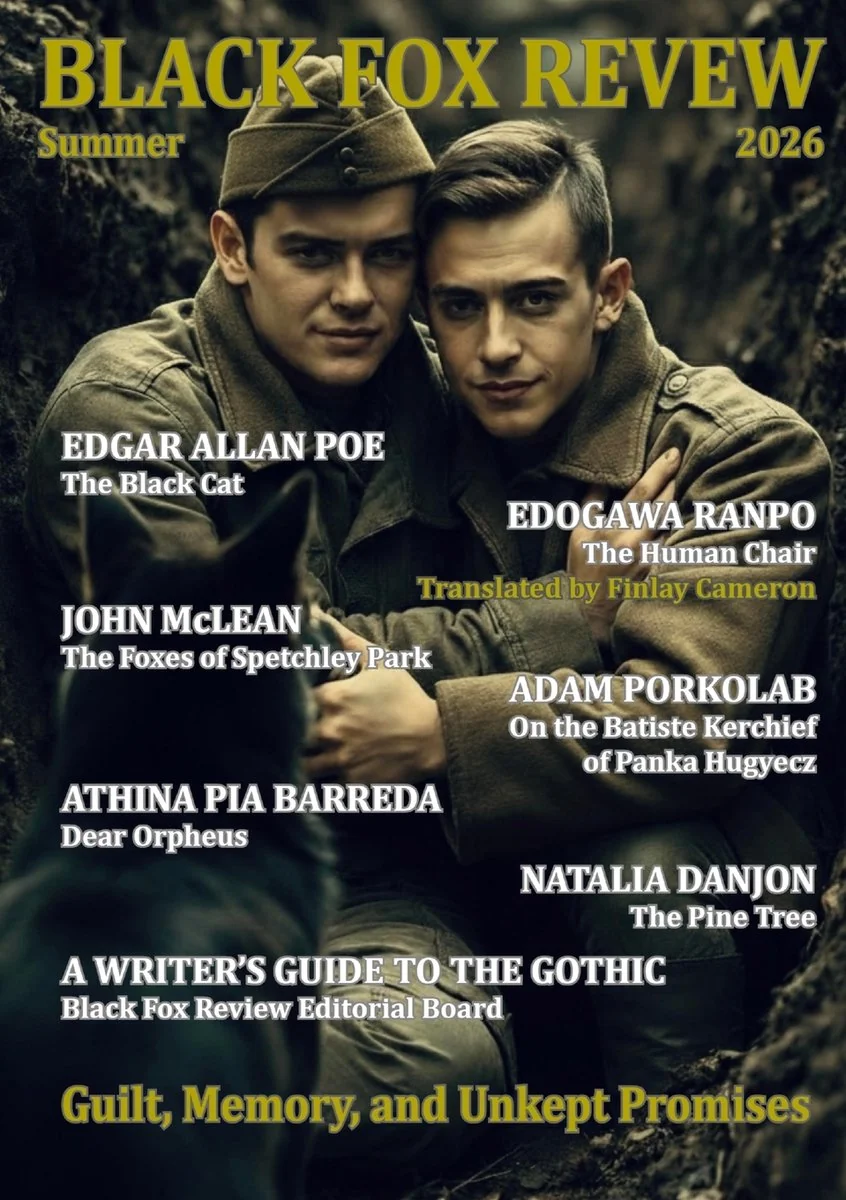 Black Fox Review - Summer 2026: Guilt, Memory, and Unkept Promises (Gothic Shorts) — photo 2