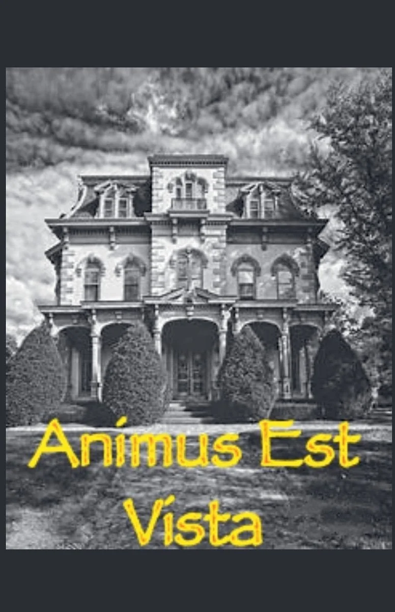 Animus Est Vista — photo 2