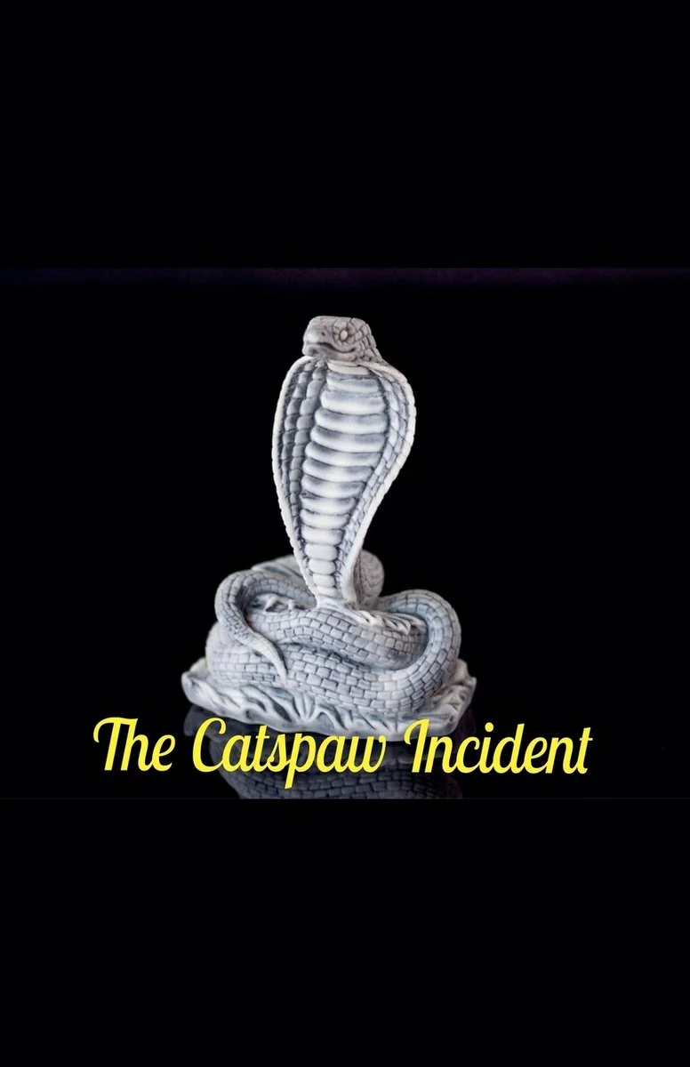 The Catspaw Incident — photo 2