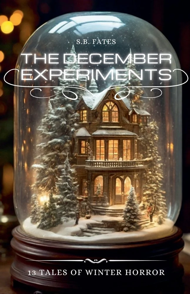 The December Experiments — photo 2