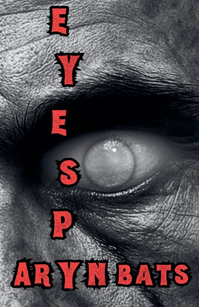 Eye Spy — photo 2