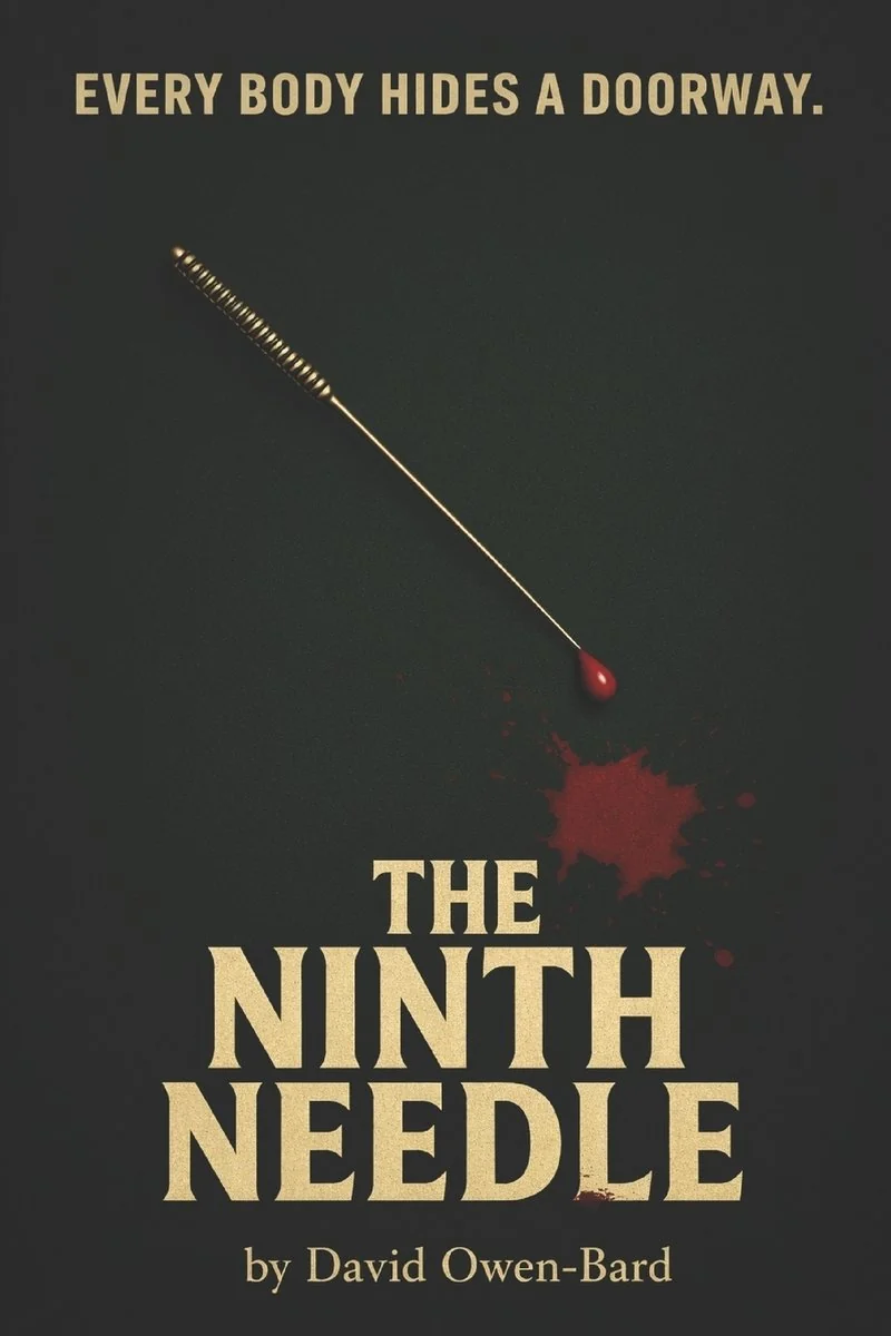 The Ninth Needle: Every Body Hides a Doorway — photo 2