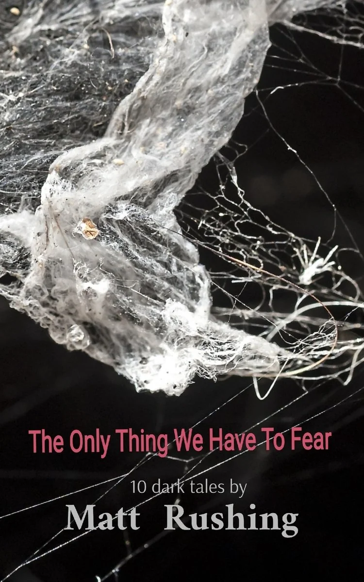 The Only Thing We Have To Fear — photo 2