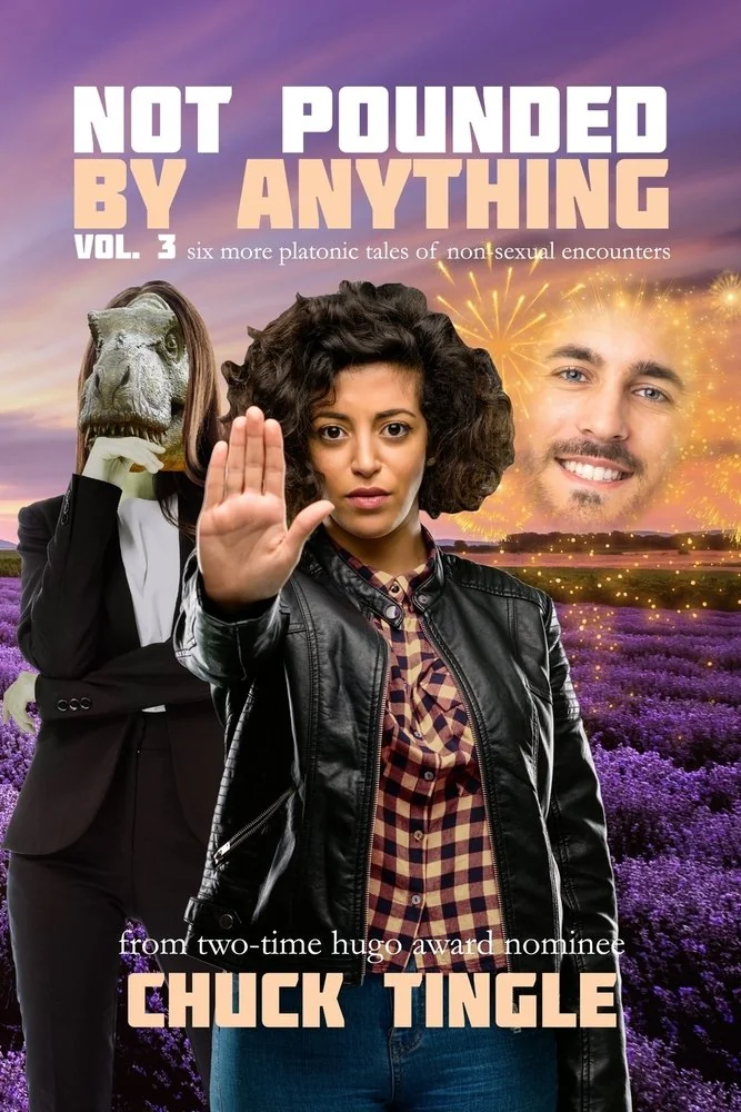 Not Pounded By Anything Vol. 3: Six More Platonic Tales Of Non-Sexual Encounters — photo 2