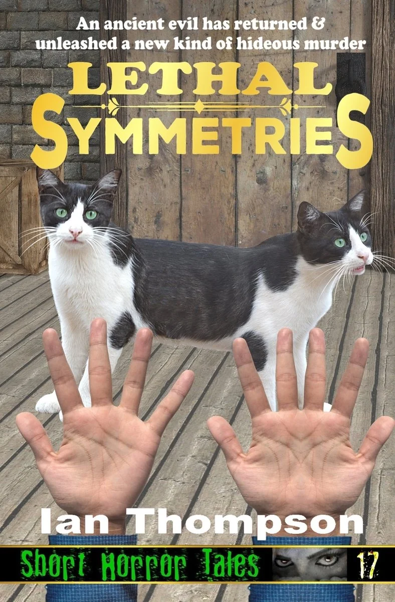Lethal Symmetries — photo 2