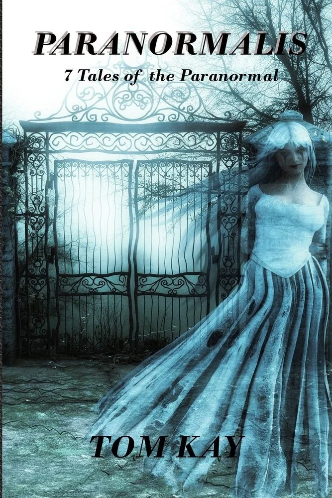 Paranormalis: 7 Tales of the Paranormal — photo 2
