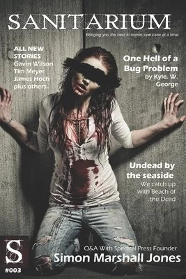 Sanitarium Issue #3: Sanitarium Magazine Issue #3 2012 edition — photo 2