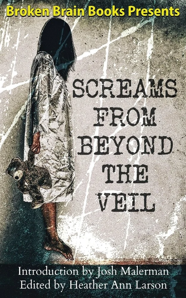 Screams From Beyond The Veil: A Horror Anthology — photo 2