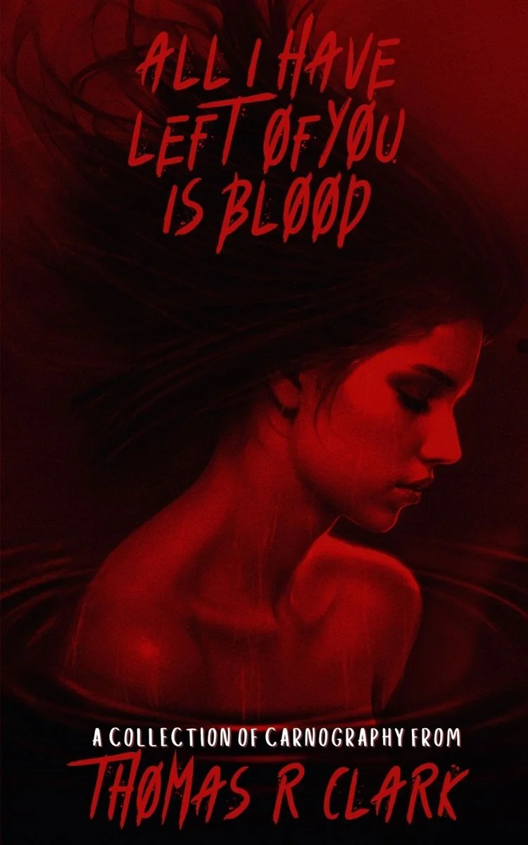 All I Have Left of You is Blood — photo 2