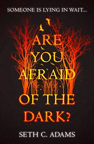 Are You Afraid of the Dark?