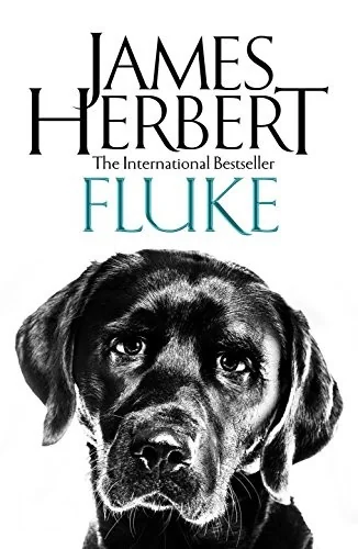 Fluke (Main Market)